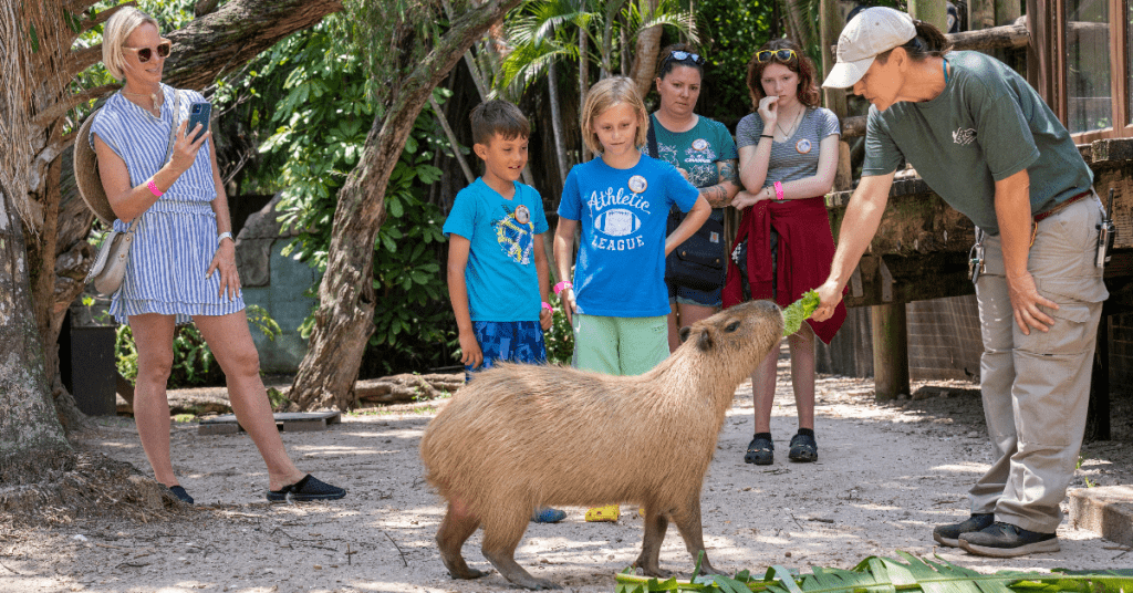 children participate in a capaybara experience at Palm Beach Zoo